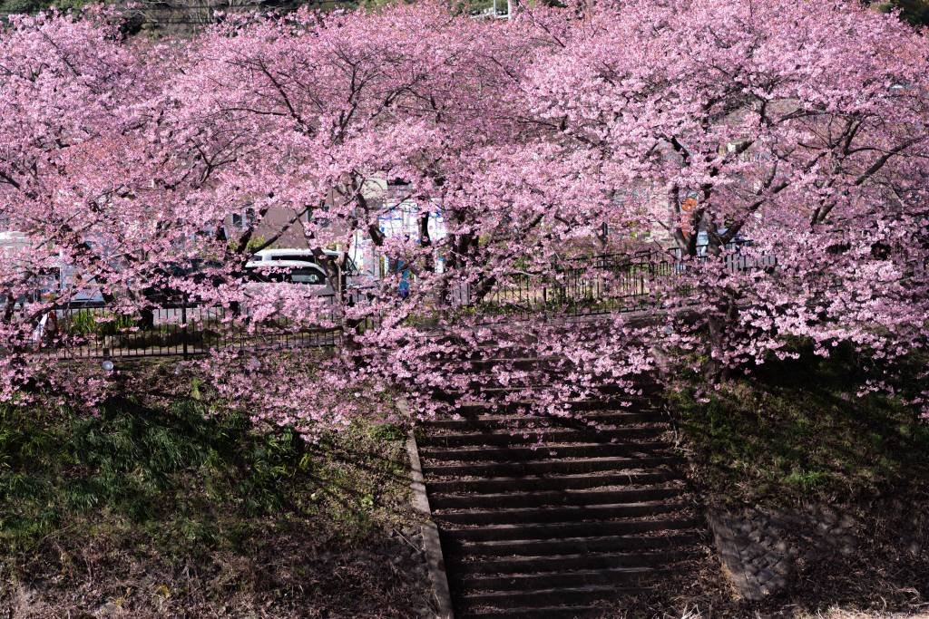 🌳 임시의 숲 공원(린시노모리코엔) 이미지 9